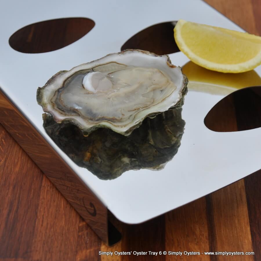 Oyster Trays Oyster Tray 6 Simply Oysters